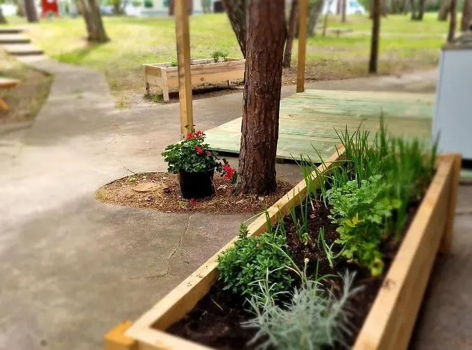 Paradise Camp * הל